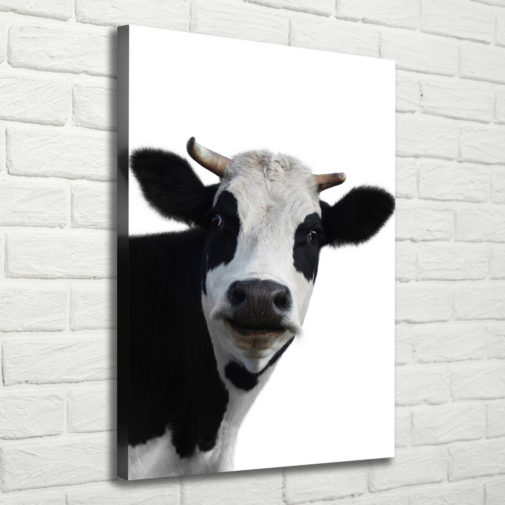Foto obraz canvas pionowy Łaciata krowa