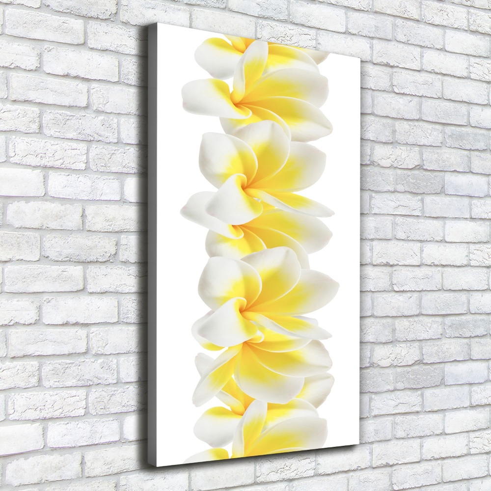 Foto obraz na płótnie do salonu pionowy Plumeria