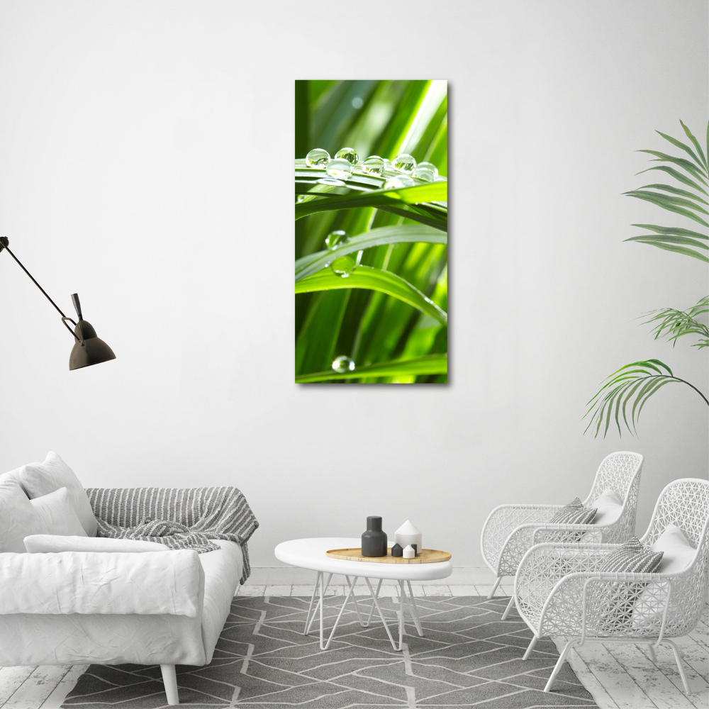 Foto obraz canvas pionowy Źdźbła trawy
