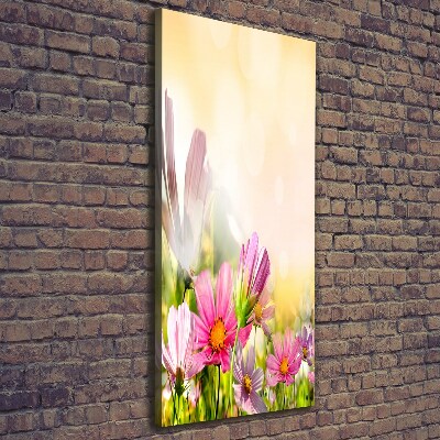 Foto obraz canvas pionowy Polne kwiaty