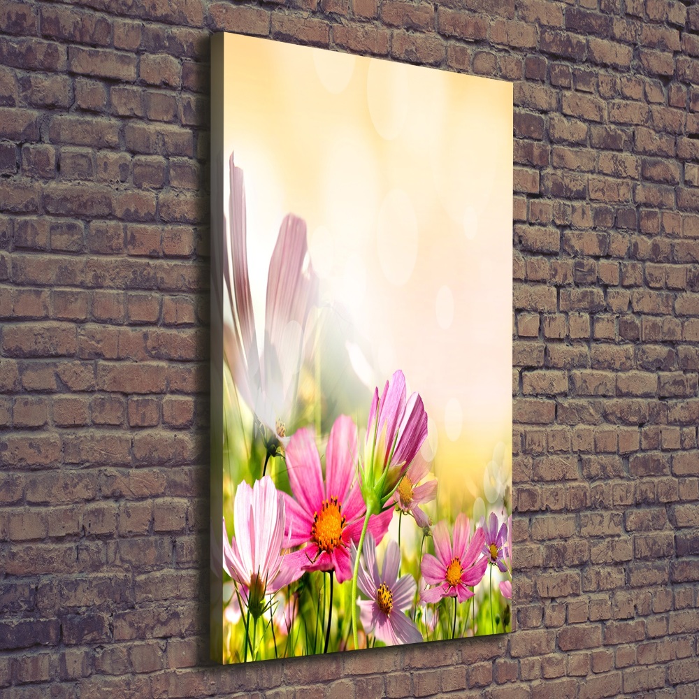Foto obraz canvas pionowy Polne kwiaty