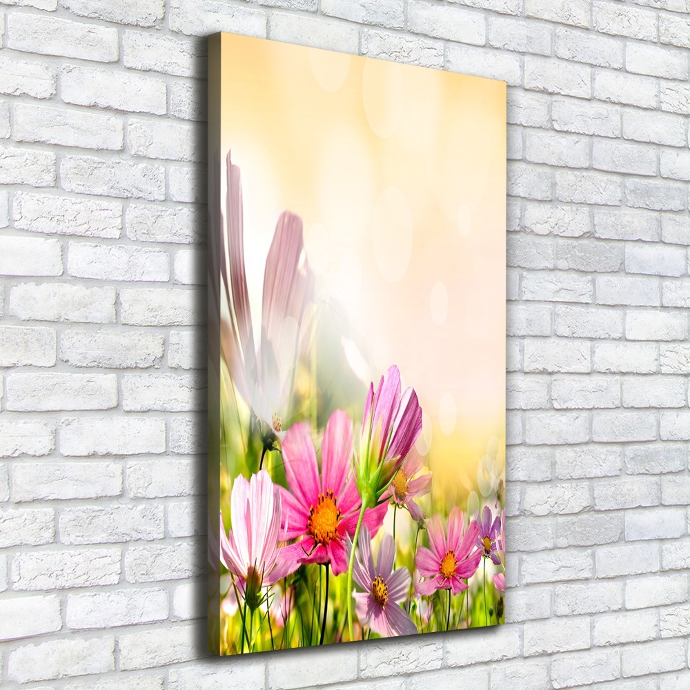 Foto obraz canvas pionowy Polne kwiaty