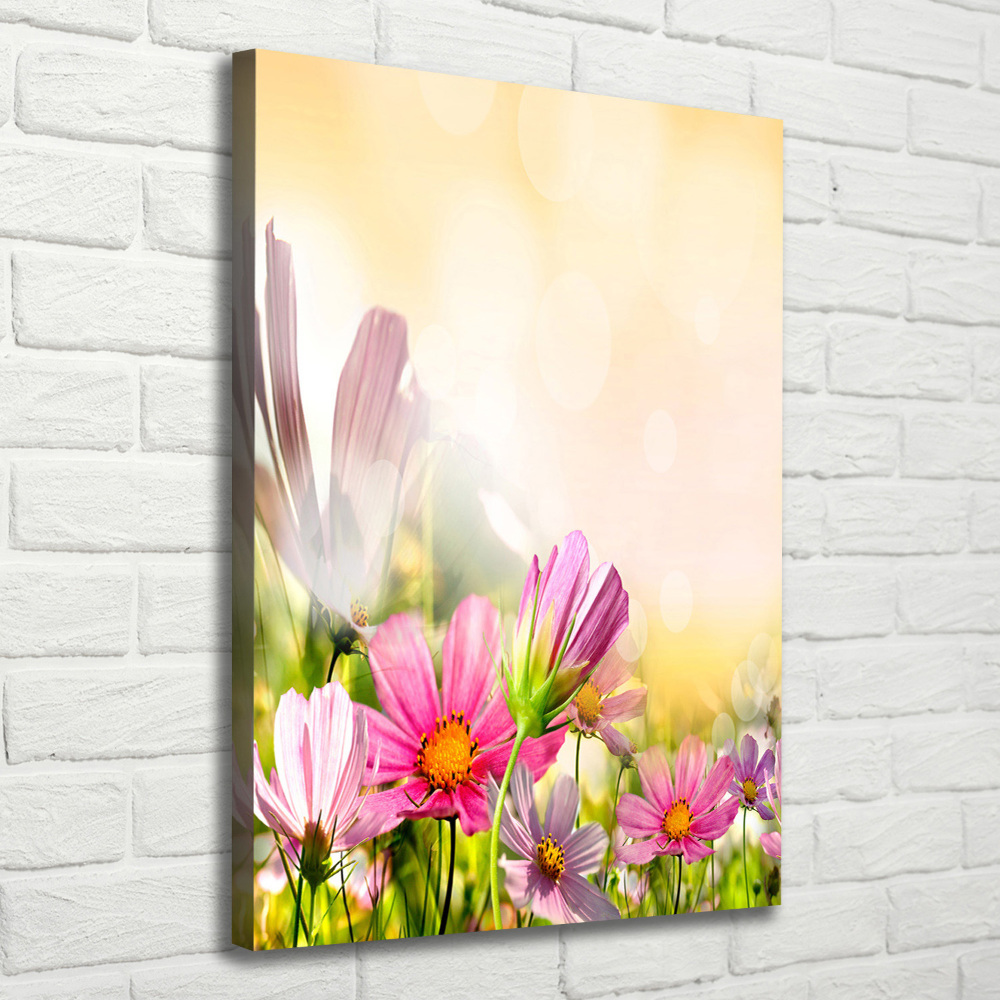 Foto obraz canvas pionowy Polne kwiaty