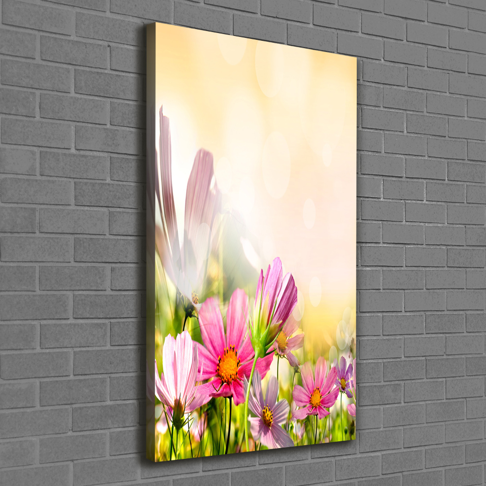 Foto obraz canvas pionowy Polne kwiaty