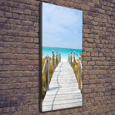 Foto obraz na płótnie pionowy Ścieżka na plażę