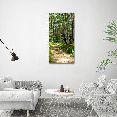 Foto obraz canvas pionowy Las brzozowy