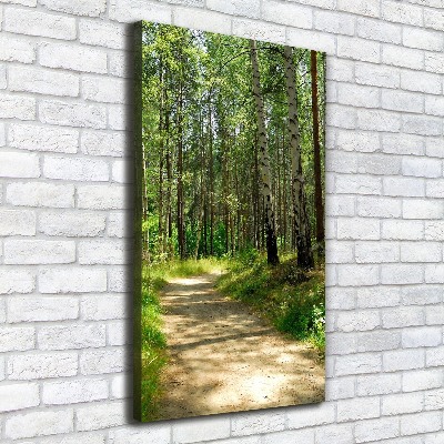 Foto obraz canvas pionowy Las brzozowy