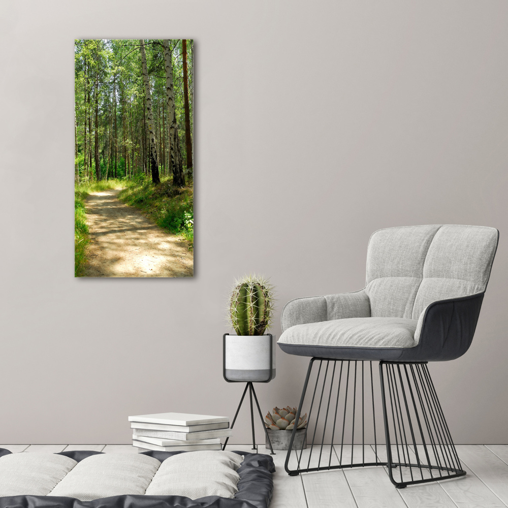Foto obraz canvas pionowy Las brzozowy