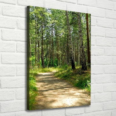 Foto obraz canvas pionowy Las brzozowy