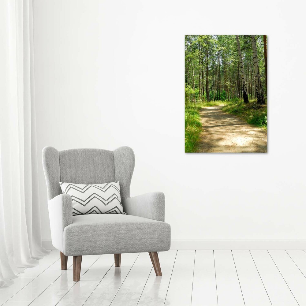 Foto obraz canvas pionowy Las brzozowy