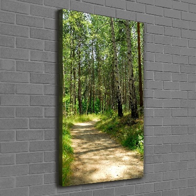 Foto obraz canvas pionowy Las brzozowy