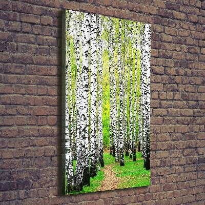 Foto obraz canvas pionowy Las brzozowy