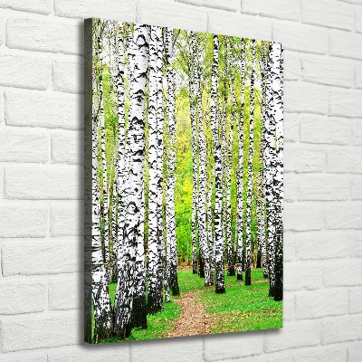 Foto obraz canvas pionowy Las brzozowy