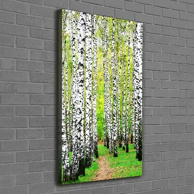 Foto obraz canvas pionowy Las brzozowy