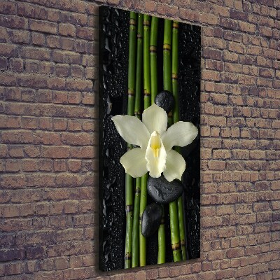 Foto obraz na płótnie pionowy Orchidea i bambus