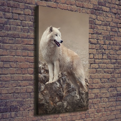 Foto obraz canvas pionowy Wilk na skale