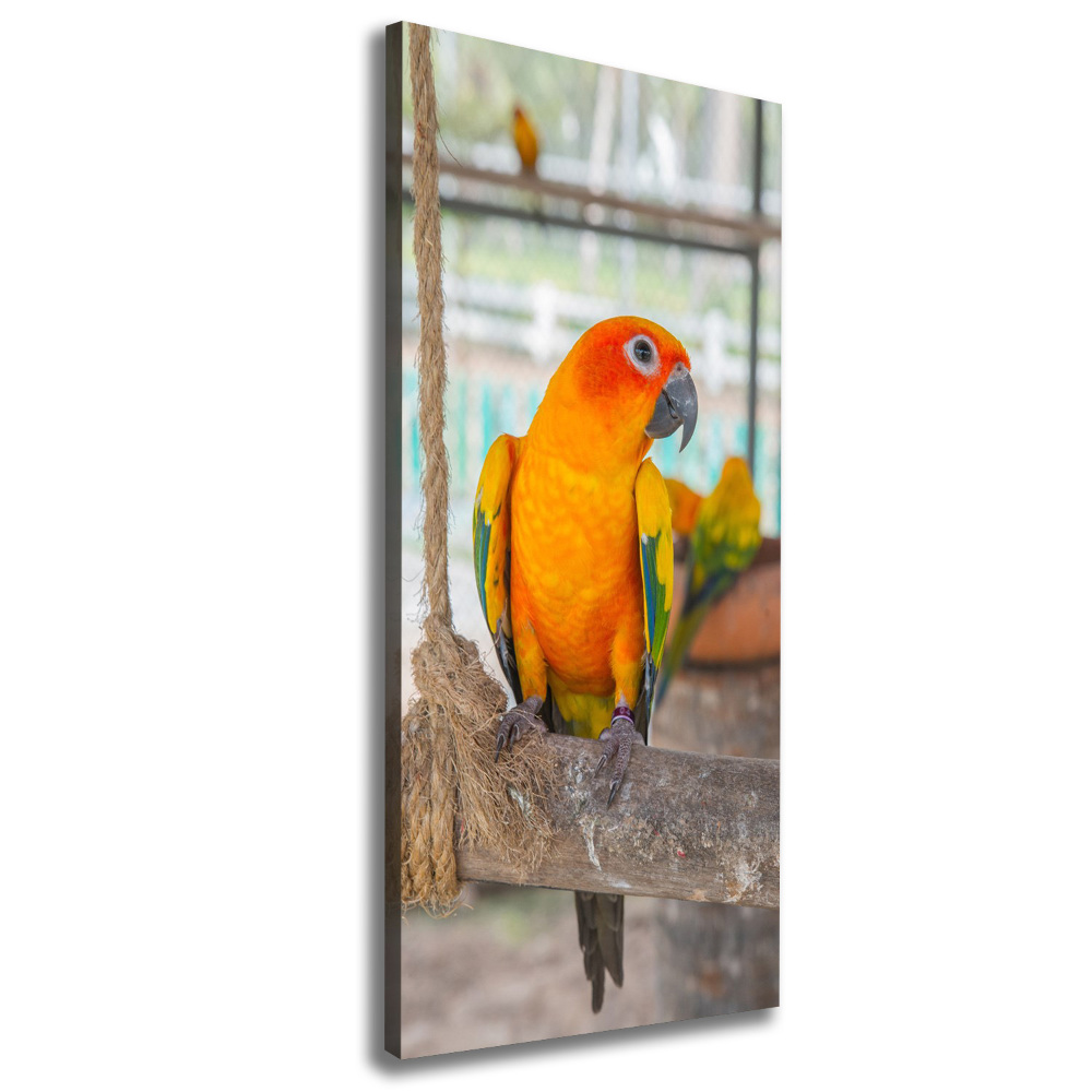 Nowoczesny fotoobraz canvas na ramie pionowy Papuga