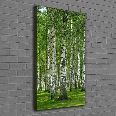 Foto obraz canvas pionowy Las brzozowy