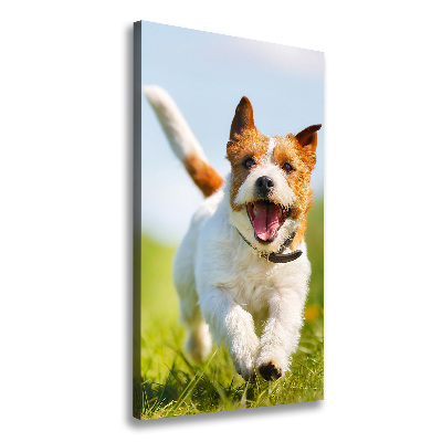 Foto obraz na płótnie pionowy Pies Jack Russell