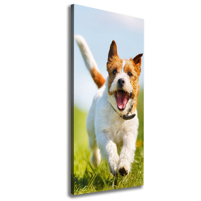 Foto obraz na płótnie pionowy Pies Jack Russell