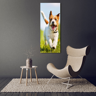 Foto obraz na płótnie pionowy Pies Jack Russell