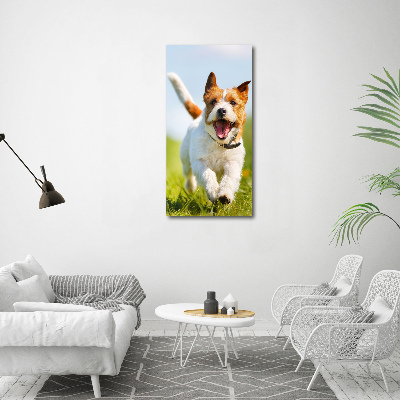 Foto obraz na płótnie pionowy Pies Jack Russell