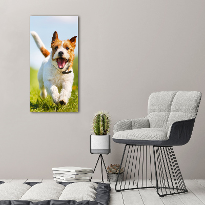 Foto obraz na płótnie pionowy Pies Jack Russell