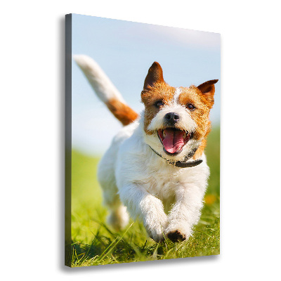 Foto obraz na płótnie pionowy Pies Jack Russell