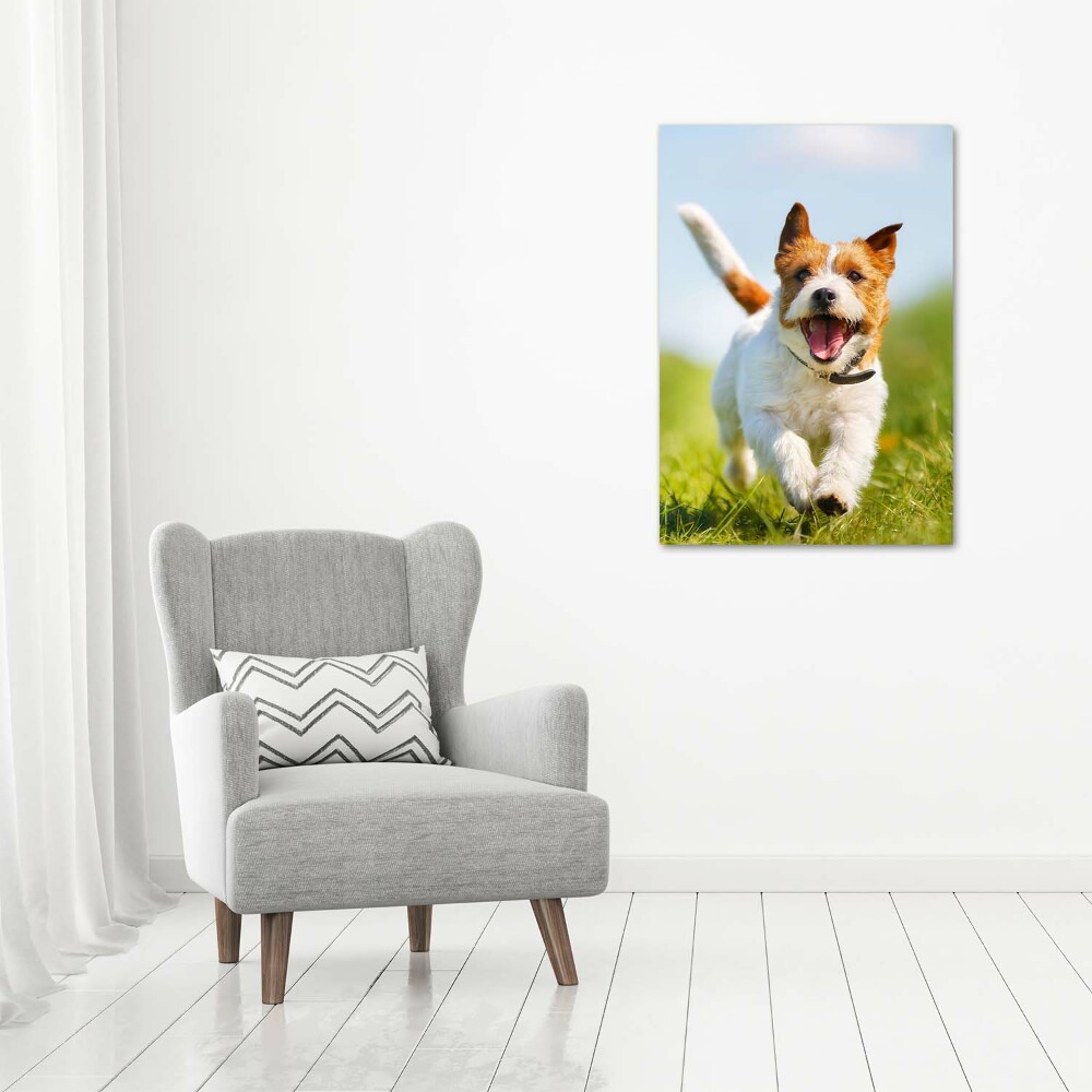 Foto obraz na płótnie pionowy Pies Jack Russell