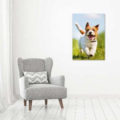 Foto obraz na płótnie pionowy Pies Jack Russell