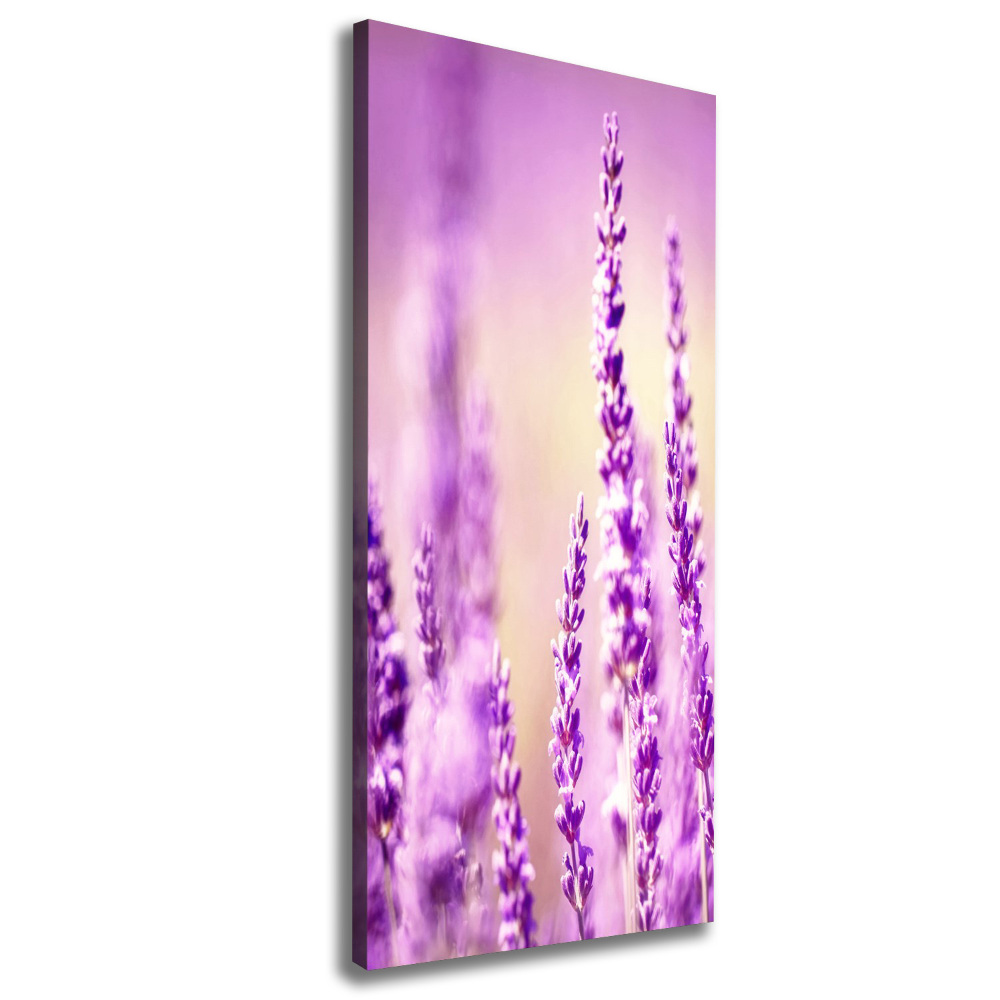 Nowoczesny obraz canvas na ramie pionowy Lawenda