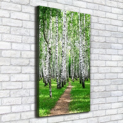 Foto obraz canvas pionowy Las brzozowy