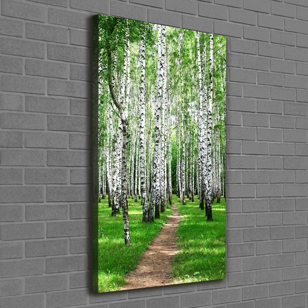 Foto obraz canvas pionowy Las brzozowy