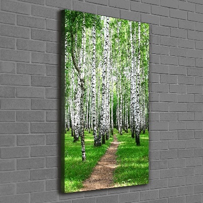 Foto obraz canvas pionowy Las brzozowy
