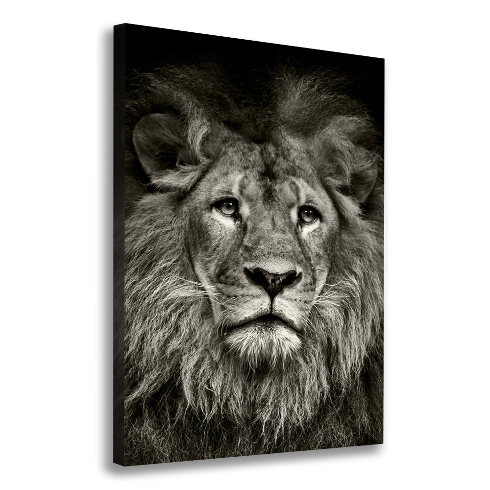 Foto obraz canvas pionowy Lew