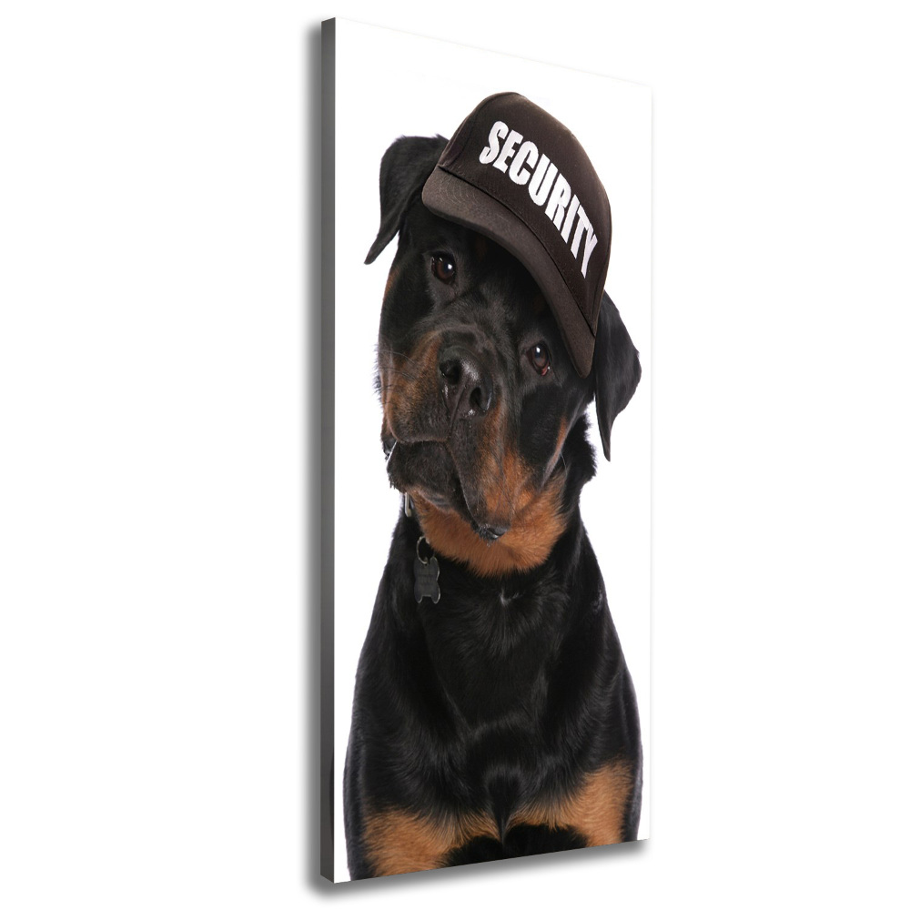 Foto obraz na płótnie pionowy Rottweiler w czapce