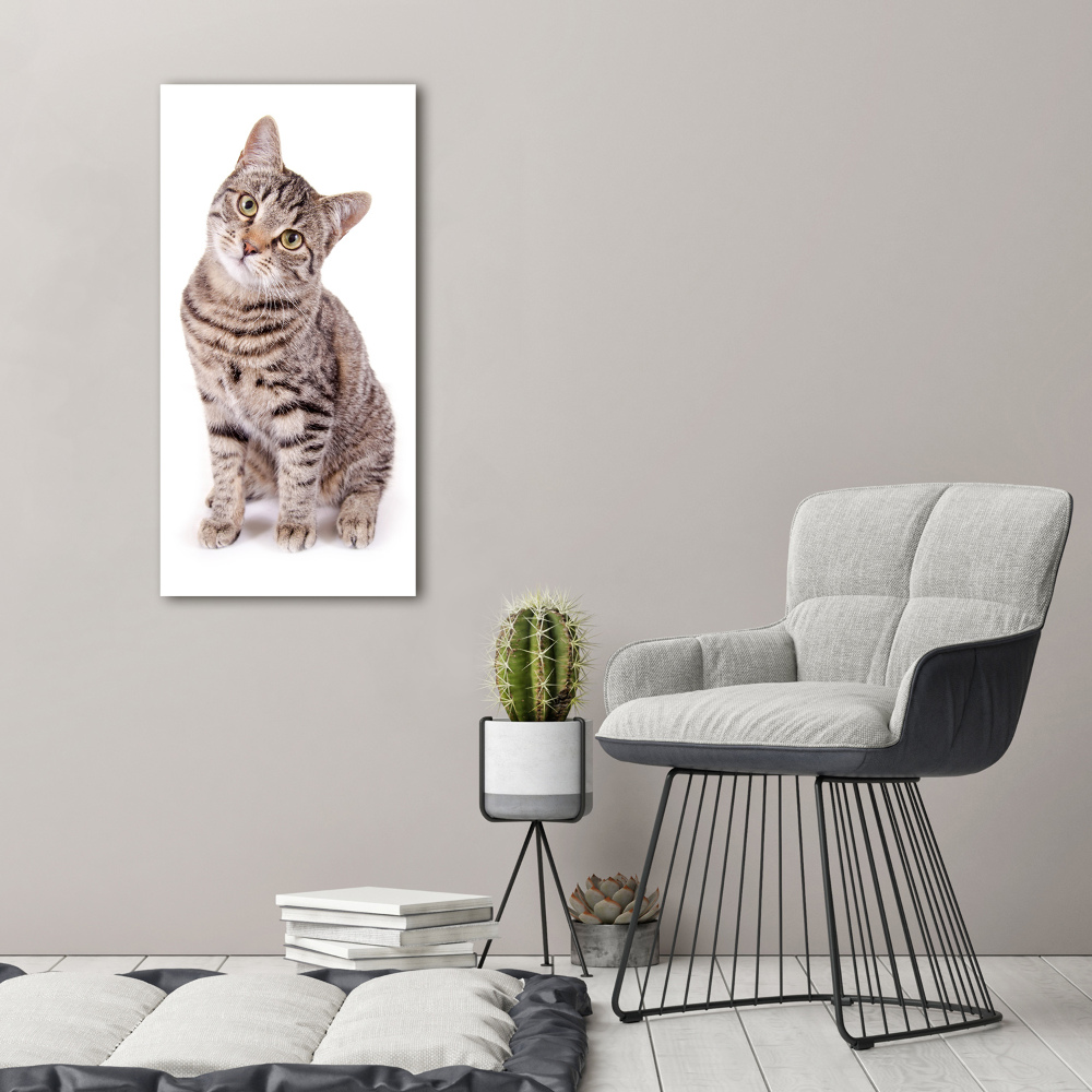 Foto obraz canvas pionowy Kot