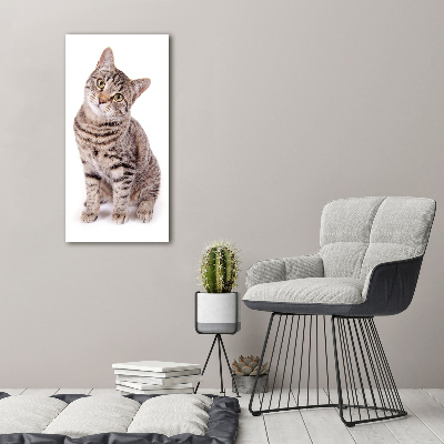 Foto obraz canvas pionowy Kot