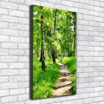 Foto obraz canvas pionowy Las brzozowy