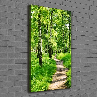 Foto obraz canvas pionowy Las brzozowy