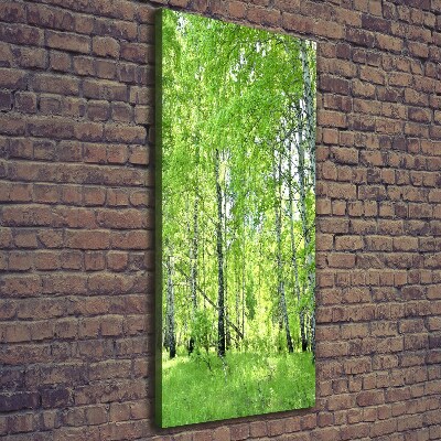 Foto obraz canvas pionowy Las brzozowy