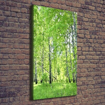 Foto obraz canvas pionowy Las brzozowy