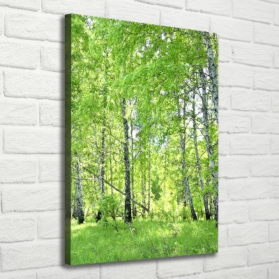 Foto obraz canvas pionowy Las brzozowy