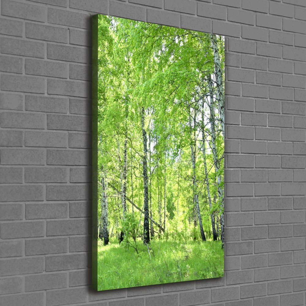 Foto obraz canvas pionowy Las brzozowy