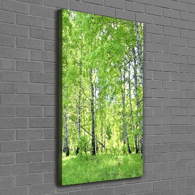 Foto obraz canvas pionowy Las brzozowy