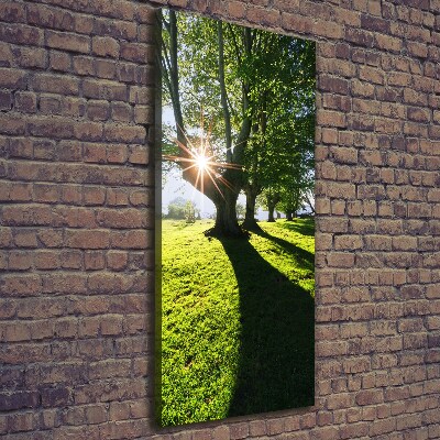 Foto obraz drukowany na płótnie pionowy Park
