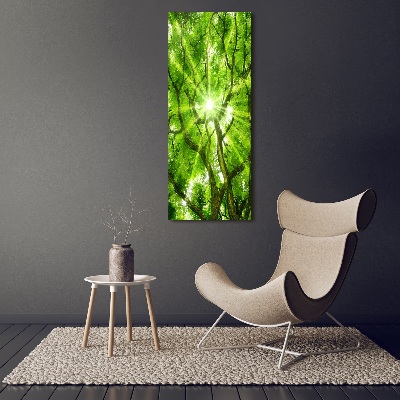 Foto obraz canvas pionowy Korona drzew