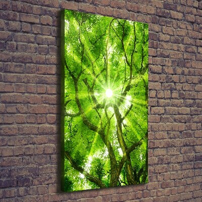 Foto obraz canvas pionowy Korona drzew