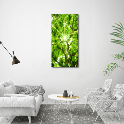 Foto obraz canvas pionowy Korona drzew