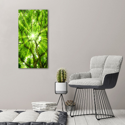 Foto obraz canvas pionowy Korona drzew